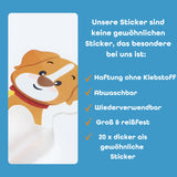 ImagiNew Playhome Starter-Set